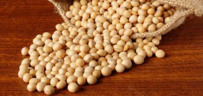 sopa-estimates-drop-in-soybean-crop-for-2020-season-english.jpeg