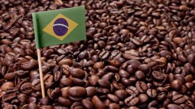 Tariff effect: Brazilian coffee exports fall compared to 2024