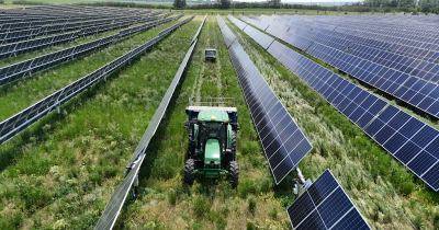 teri-etc-back-agrivoltaics-as-key-to-reducing-indias-fossil-fuel-dependence-english.jpeg