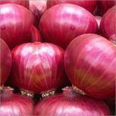 top-10-onion-varieties-in-india-english.jpeg