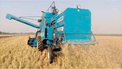 Top 10 sustainable ways to manage paddy straw efficiently