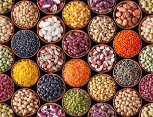 top-5-pulses-producers-in-india-shaping-the-nations-food-security-english.jpeg