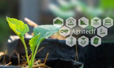 top-agritech-companies-shaping-indias-agricultural-future-english.jpeg