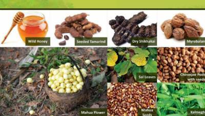 tribal-ministry-includes-23-additional-minor-forest-produce-items-msp-list-english.jpeg