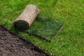 Turfgrass opens new growth market for India's agri-input sector