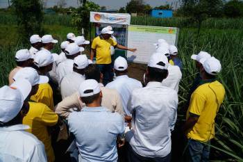 upl-sustainable-agri-solutions-shreenath-mhaskoba-sugar-mill-organize-sugarcane-pronutiva-mela-english.jpeg