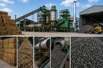 Vedanta Power uses 3.61 lakh tonnes of paddy straw for energy