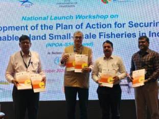 Women accounts for 44% of India’s inland fishers, FAO-BOBP report flags ecosystem threats