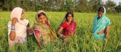 women-leaders-building-sustainable-inclusive-food-system-globally-hindi.jpeg