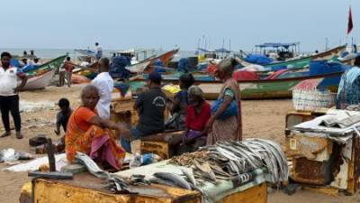 women-make-up-nearly-half-of-indias-small-scale-fisheries-finds-global-study-nbsp-english.jpeg